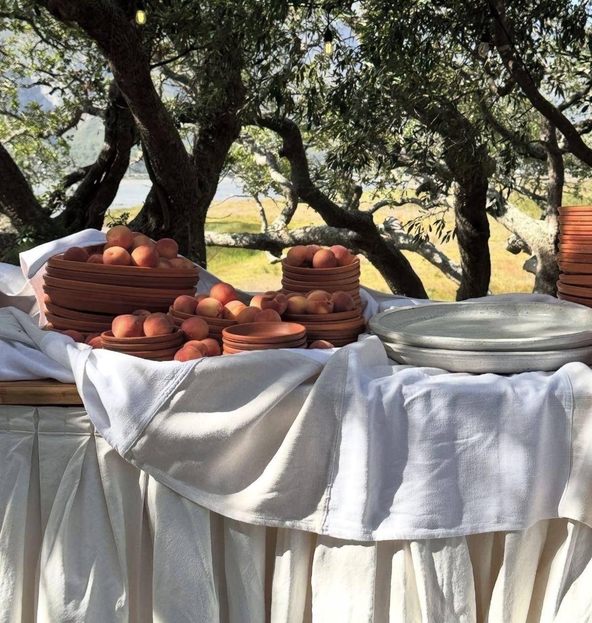Terre cuite et pêches sur une table sous les oliviers, Alentejo
