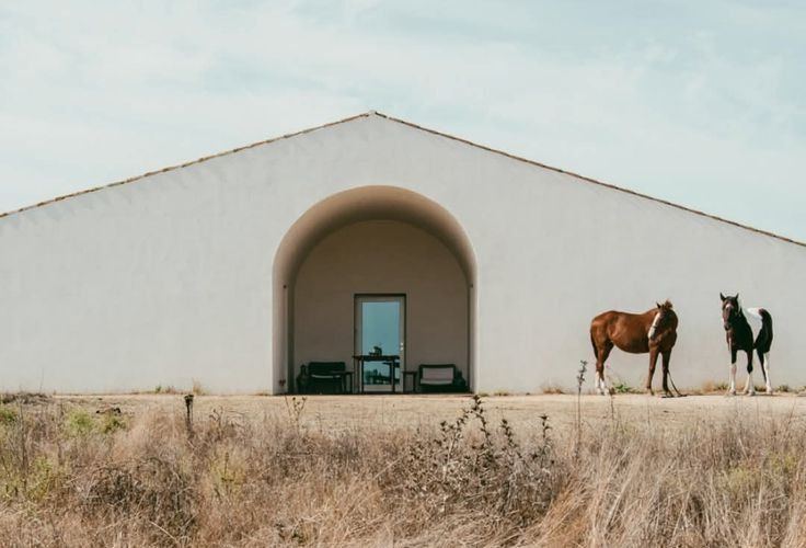 Une maison blanchie avec des chevaux, Comporta