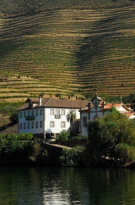Une quinta blanche historique au bord du fleuve, les terrasses de vignes s'élevant derrière, Douro