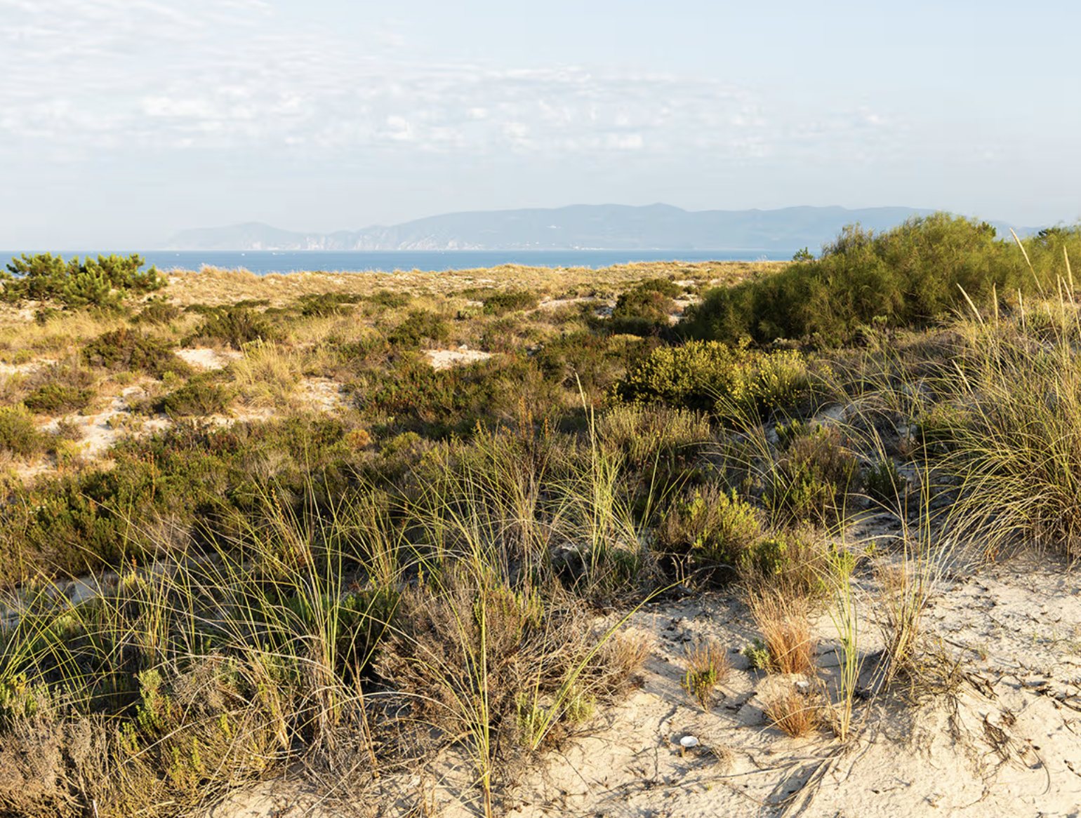 Les dunes face à la mer, l'Arrábida à l'horizon