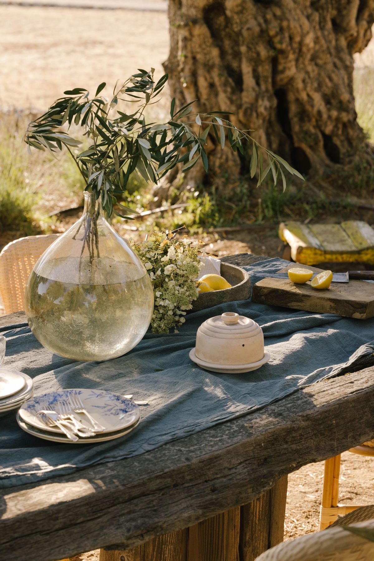 Une table dressée sous un olivier, une carafe et des branches d'olivier